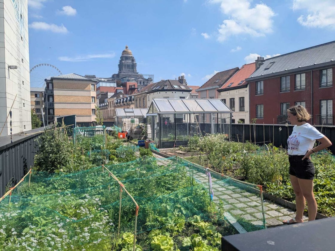 toit potager